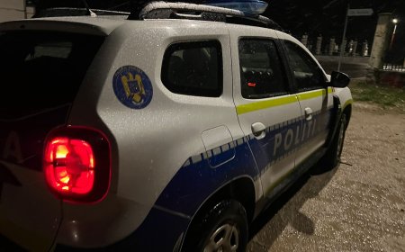 REȚINUT PENTRU ÎNCĂLCAREA ORDINULUI DE PROTECȚIE ȘI VIOLENȚĂ ÎN FAMILIE, LA SÂNTANA
