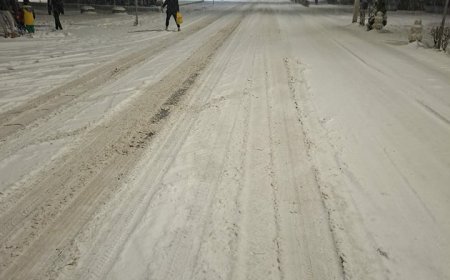 VIDEO! LA MOLDOVA NOUĂ SUNT RIDICAȚI COPACII CĂZUȚI PE DRUMURI