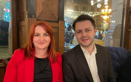 Ruben Lațcău: Nicio decizie ANI în cazul Paulei Romocean