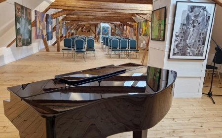 Școala de Arte din Timișoara a deschis a doua sesiune de înscrieri