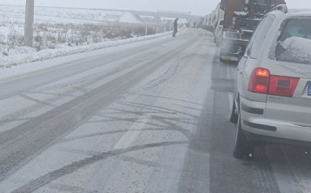 ACCIDENT GRAV ÎN TIMIȘ! ȘOFER ÎNCARCERAT