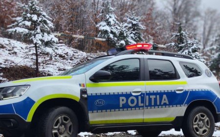 Reținut pentru violență în familie