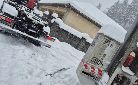 Cinci localități din Timiș primesc curent prin generatoare