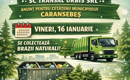 Brazii naturali vor fi colectați vineri, la Caransebeș