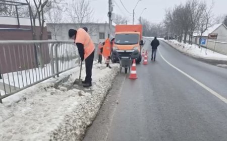 DRDP Timișoara intervine manual pentru îndepărtarea zăpezii