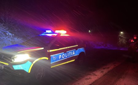 Acțiune preventivă nocturnă în Timișoara