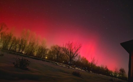 AURORA BOREALĂ, VIZIBILĂ ÎN JUDEȚUL TIMIȘ