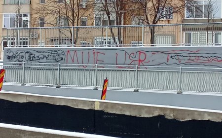 Pasajul Solventul, vandalizat cu inscripții jignitoare