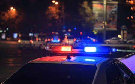 AU FURAT ȘI AU AJUNS DUPĂ GRATII
