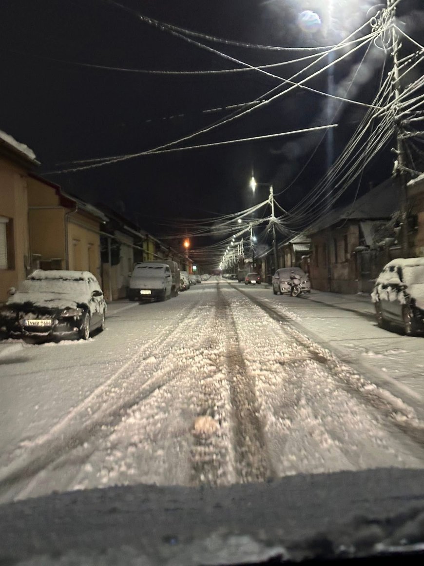 ADMINISTRAȚIA LOCALĂ DIN LUGOJ “SURPRINSĂ” DE CĂDEREA ZĂPEZII…ÎN IANUARIE