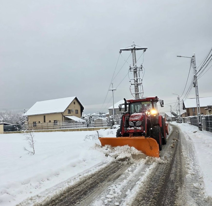 Ninsori abundente la Caransebeș
