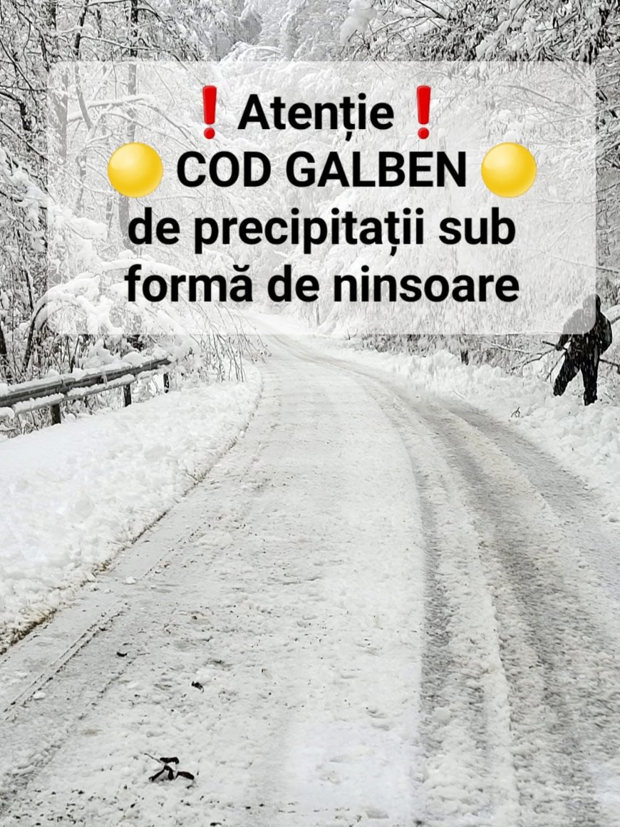 Cod galben de ninsori și polei în județul Timiș
