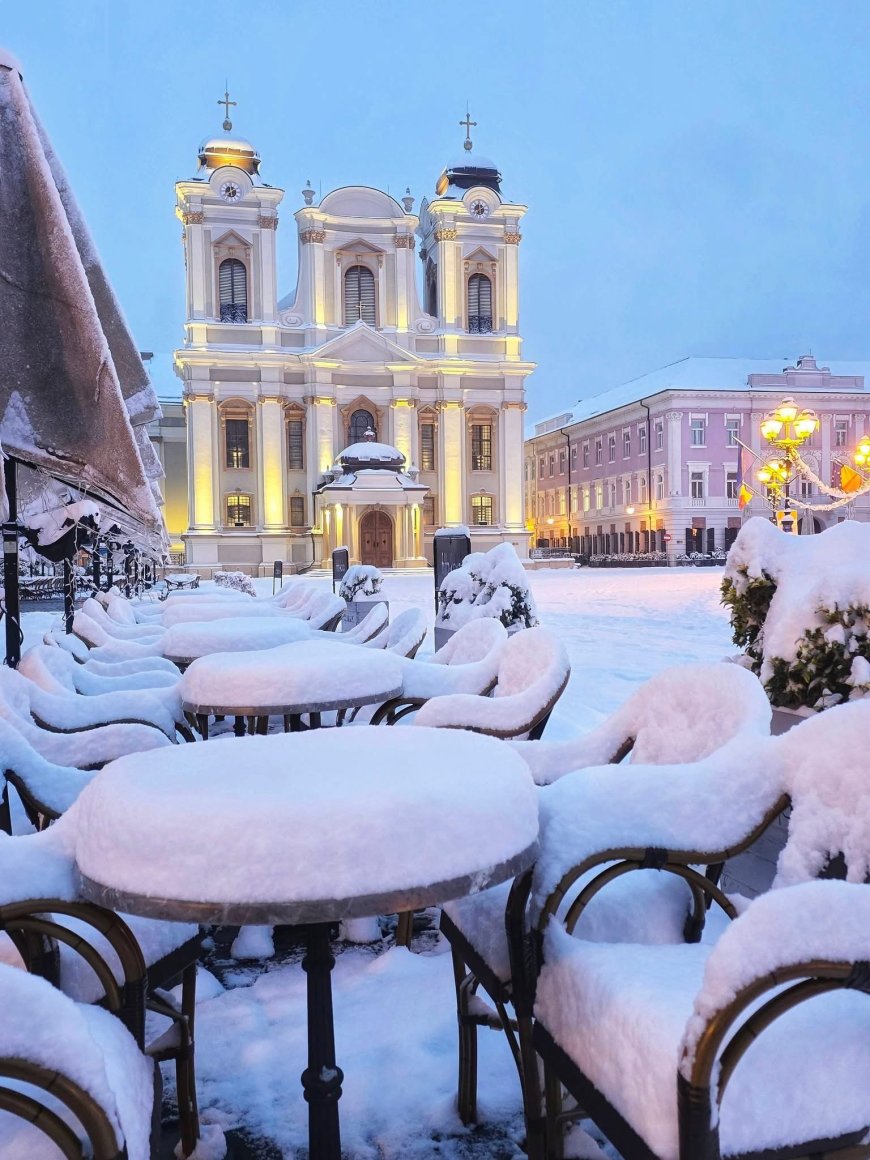 TIMIȘOARA SUB ZĂPADĂ