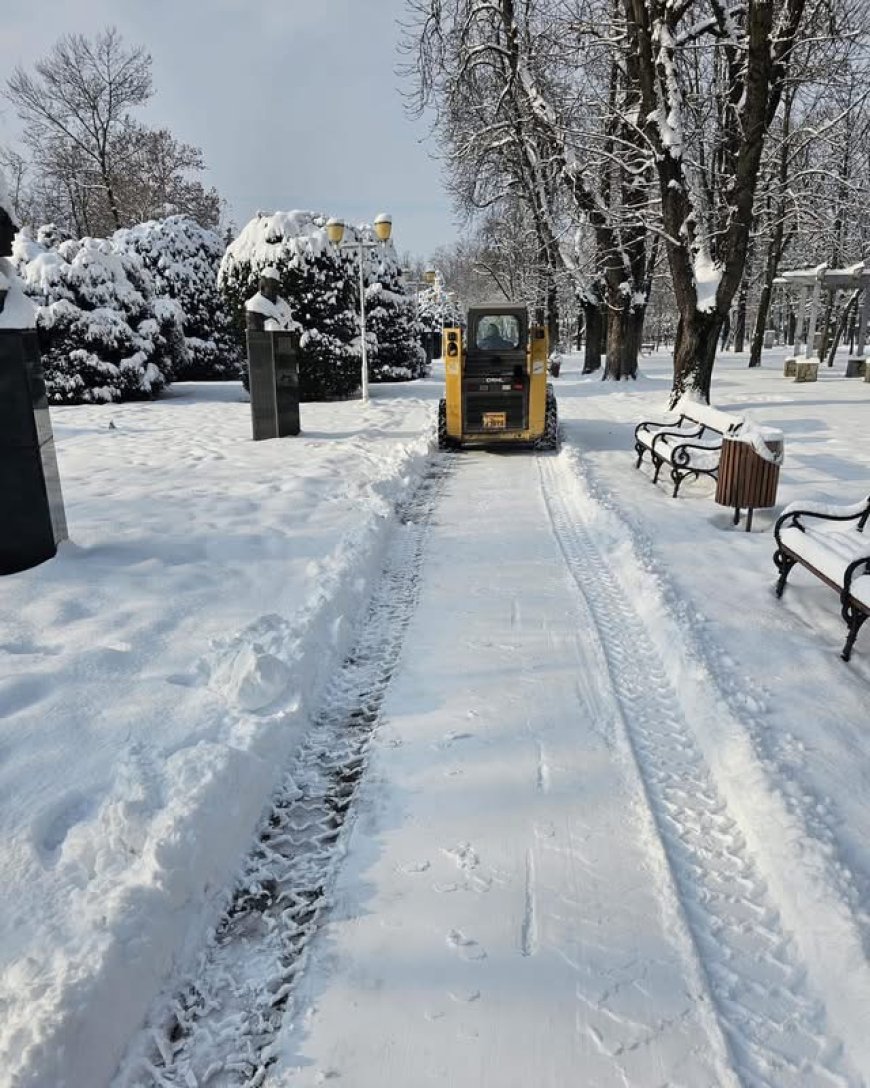 ECHIPELE HORTICULTURA AU DESZĂPEZIT PARCURILE DIN TIMIȘOARA