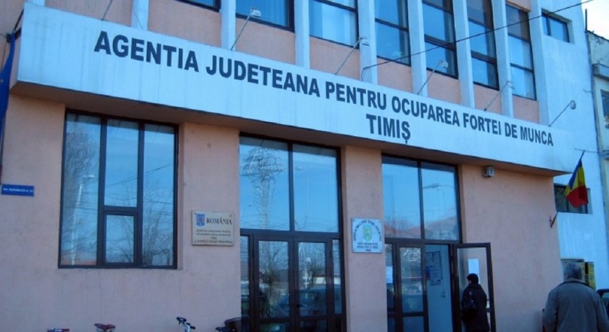 Rata șomajului la finalul anului 2025