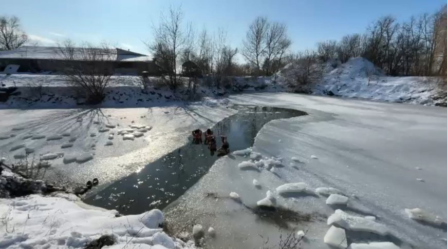 Temerari la Giroc: Baie în apă înghețată la -8°C