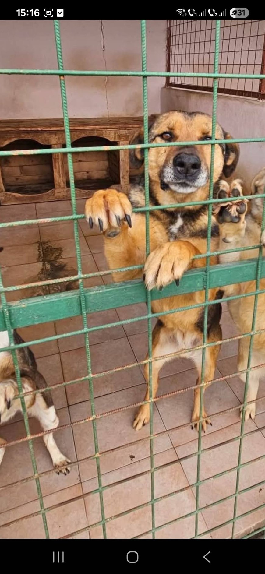 O ULTIMĂ ȘANSĂ DE A SIMȚI CĂLDURA UNUI CĂMIN