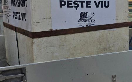 Crap viu de la Sacoșul Turcesc, în fiecare marți, în Ghiroda