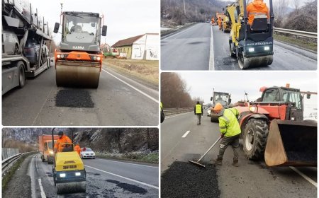 LUCRĂRI LA CAROSABIL ÎNTRE TOPLEȚ ȘI CARANSEBEȘ