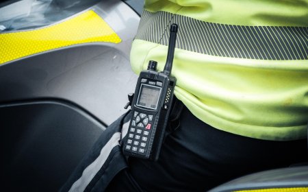 Bărbat din Felnac, cercetat pentru distrugeri și furt