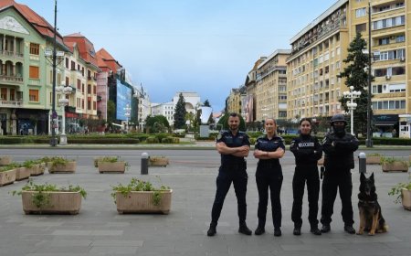 IPJ TIMIȘ, LA BILANȚ