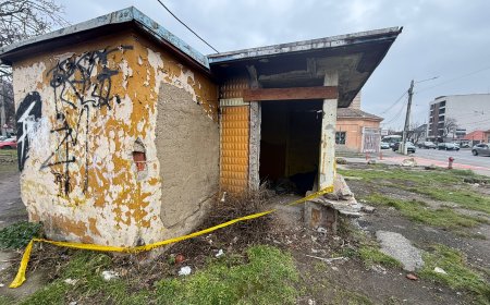 DESCOPERIRE MACABRĂ LA TIMIȘOARA