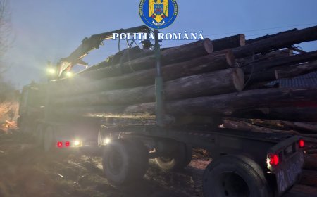 DOSAR PENAL ȘI AMENZI DUPĂ UN TRANSPORT SUSPECT DE MATERIAL LEMNOS