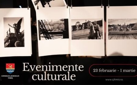 SĂPTĂMÂNĂ CULTURALĂ INTENSĂ ÎN TIMIȘ: EXPOZIȚII, FESTIVALURI ȘI SPECTACOLE CU ACCES LIBER
