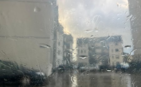 VIDEO | PLOUĂ CU GHEAȚĂ ÎN TIMIȘOARA