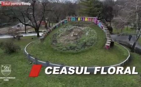 CJ Timiș solicită preluarea a patru obiective din centrul Timișoarei