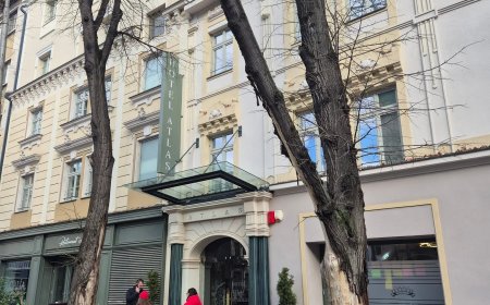 Doi tei degradați, defrișați pe strada Proclamația de la Timișoara