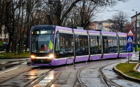 Aplicații pentru planificarea călătoriilor cu STPT