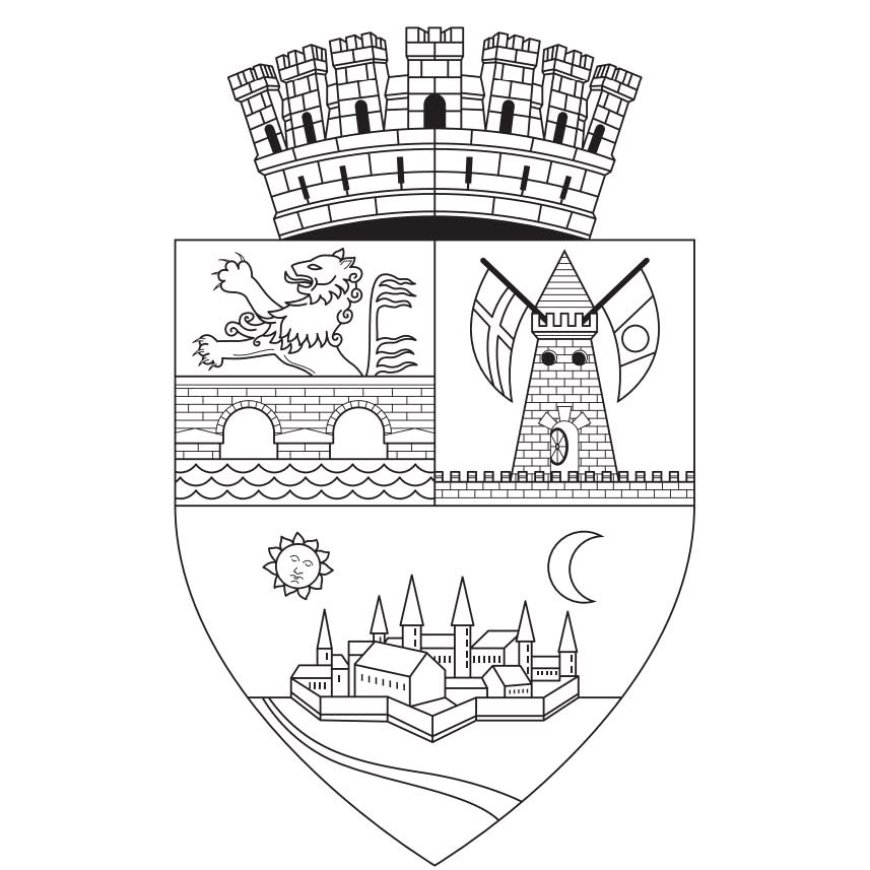 Dezbatere publică pe tema restricțiilor de tonaj în Timișoara