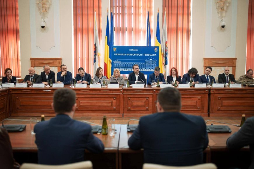 TIMIȘUL POATE SUSȚINE INDUSTRIA DIN ROMÂNIA