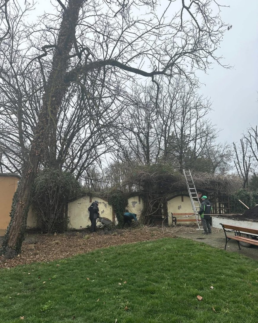 CASA CĂSĂTORIILOR DIN TIMIȘOARA, ÎNSUFLEȚITĂ DE ECHIPELE HORTICULTURA