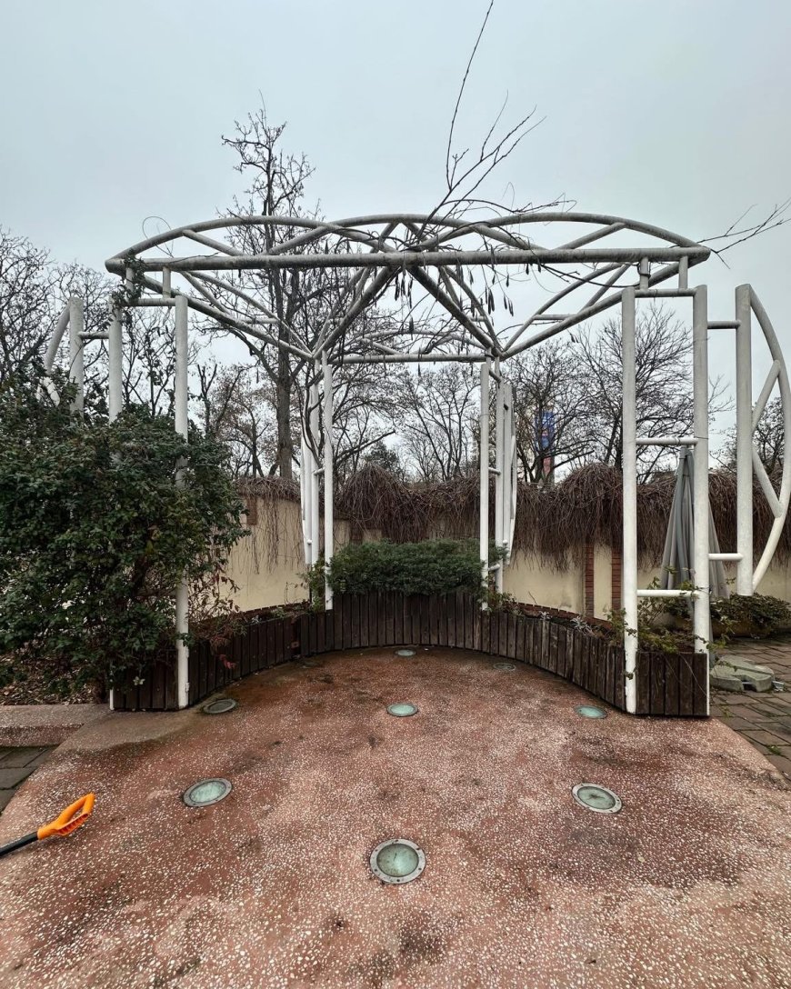 CASA CĂSĂTORIILOR DIN TIMIȘOARA, ÎNSUFLEȚITĂ DE ECHIPELE HORTICULTURA