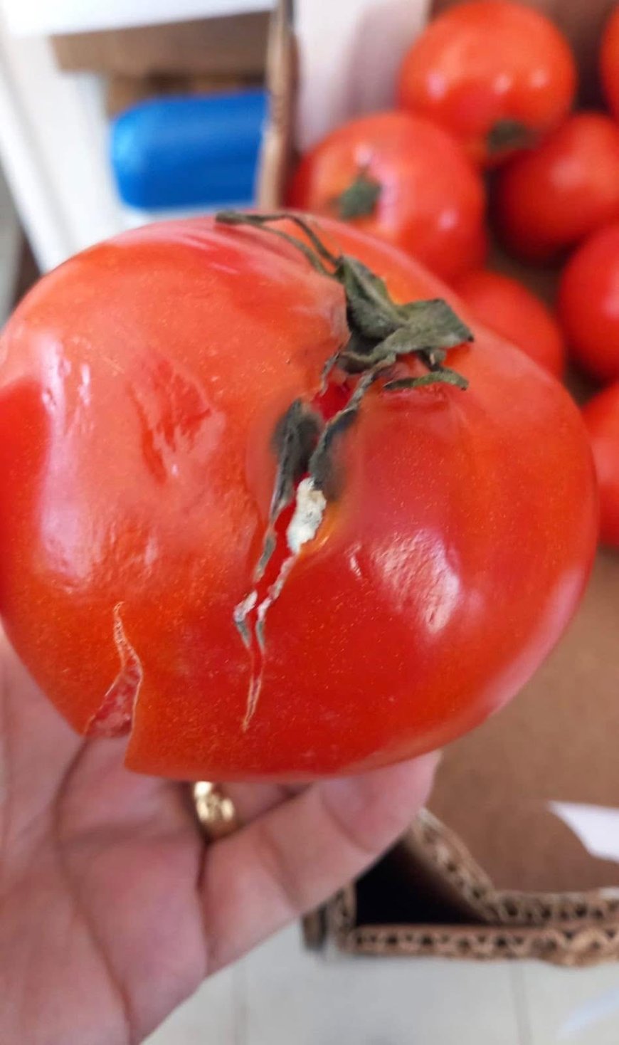 AMENZI COLOSALE DATE DE ANPC