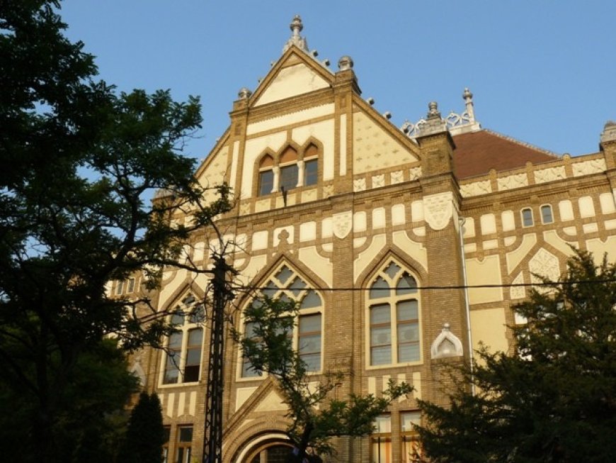 PREGĂTIRE PENTRU ADMITEREA LA PROFILUL PEDAGOGIC, LA COLEGIUL NAȚIONAL PEDAGOGIC „CARMEN SYLVA” TIMIȘOARA