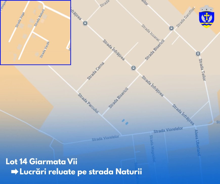 Cum evoluează lucrările de infrastructură din Giarmata Vii?