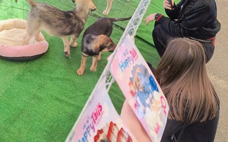 Cățeii de la "Happy Tails" își caută o familie