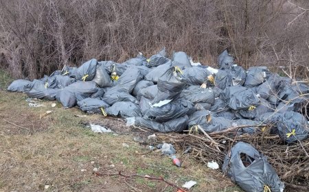 Toleranță zero pentru abandonarea deșeurilor în Giarmata