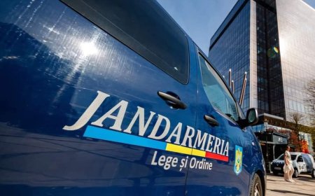 Bilanțul misiunilor jandarmilor timișeni în februarie