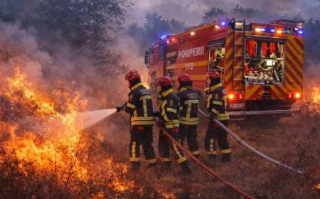 293 intervenții și misiuni ale salvatorilor hunedoreni