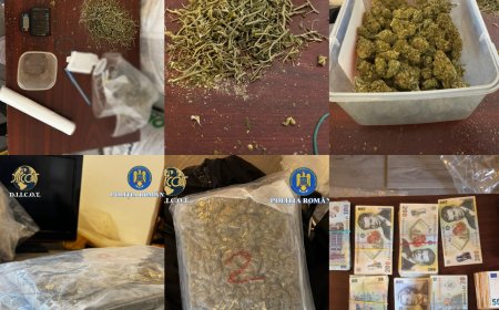 Captură impresionantă pentru polițiștii timișeni- kilograme întregi de droguri și sume mari de bani
