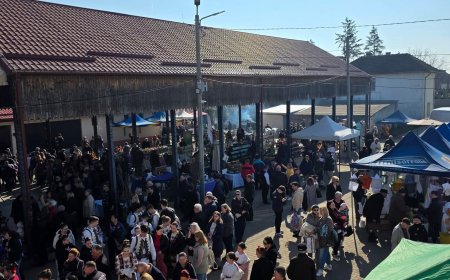A început Târgul Apicol de la Ghiroda