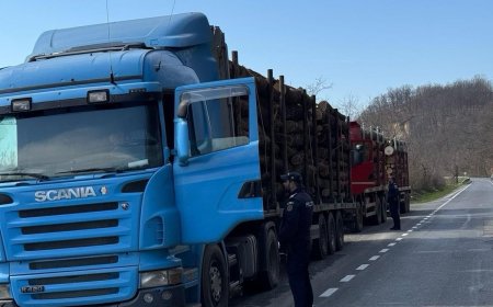 Sancțiuni pentru transportatorii de lemne