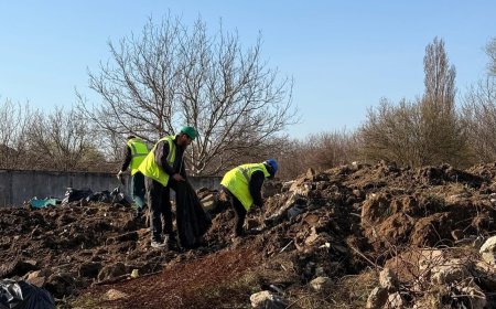 Dominic Fritz: Curățenie pe un teren de 2 hectare din zona bălții Dâmbovița