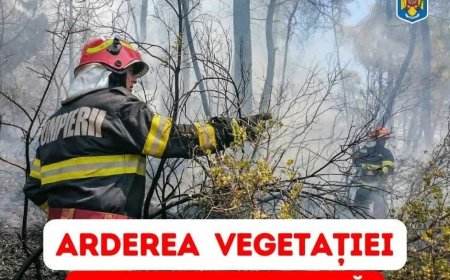 Primăria Moldova Nouă avertizează: focul pe terenuri poate aduce amenzi de până la 100.000 de lei