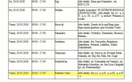 Se întrerupe curentul în Remetea Mare