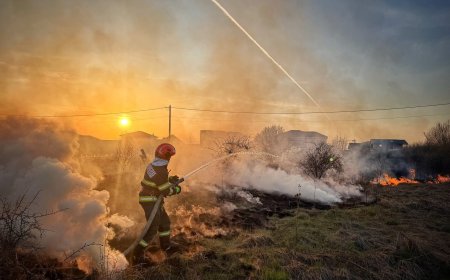 Incendiu de vegetație în Dumbrăvița
